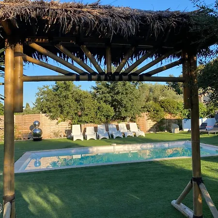 Casa vacanze Avec Piscine Tolone